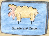 Schafe und Ziege